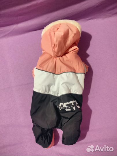 Вещи для собаки