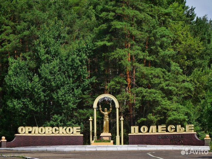 Экскурсия — Орел — Орловское Полесье: по следам зу