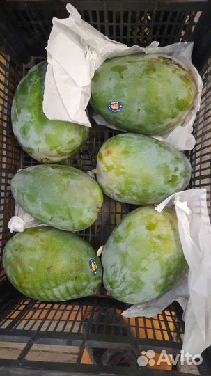 Манго свежее