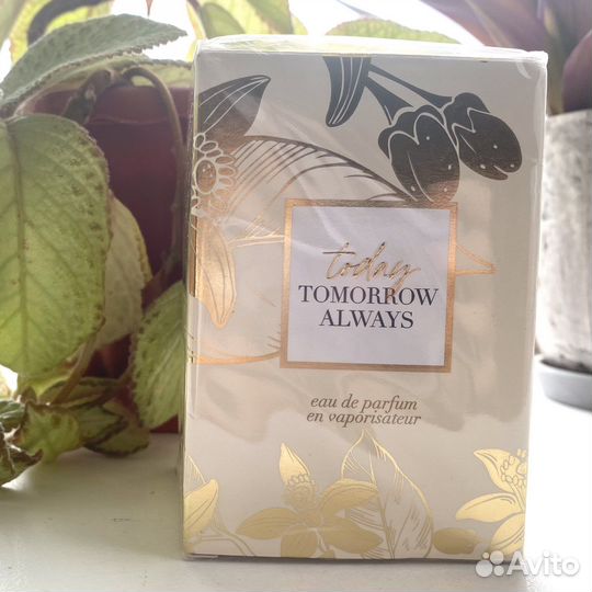 Парфюмерная вода Today для нее, 100 мл