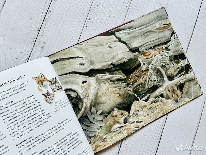 Книги детские (ид Белая ворона)
