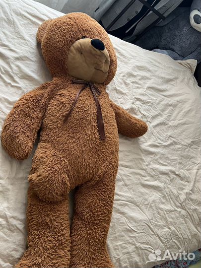 Плюшевый медведь