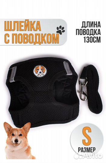 Одежда для собак