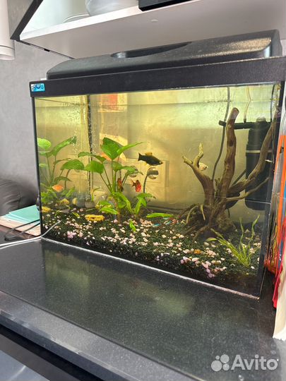 Аквариум 54л комплект