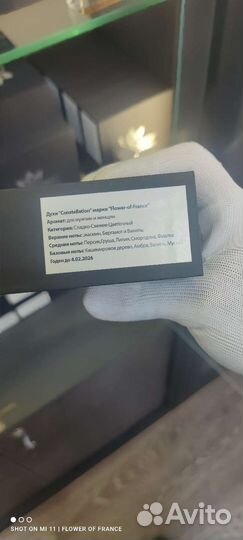 Tiziana terenzi andromeda французский аналог