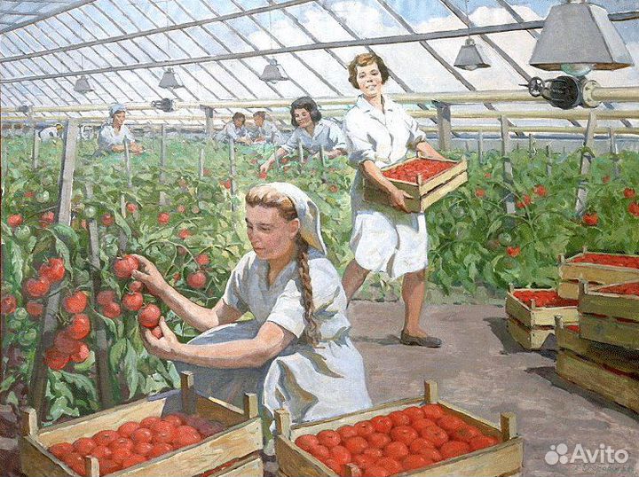 Овощевод-тепличник