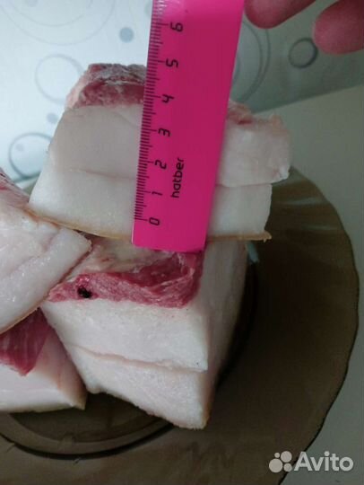 Сало свиное свежее