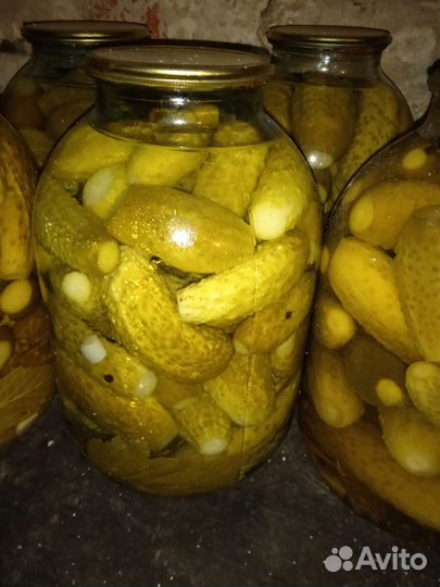 Огурцы соленые. Помидоры