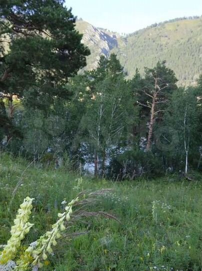 Участок 20 сот. (СНТ, ДНП)