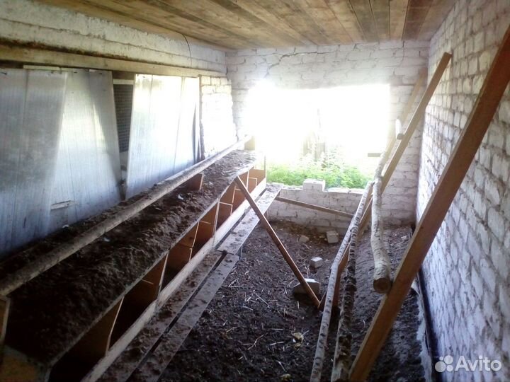 Ферма 350 м2 и 32 га. пахотной земли с/х в аренду