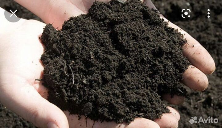 Чернозем, земля, грунт