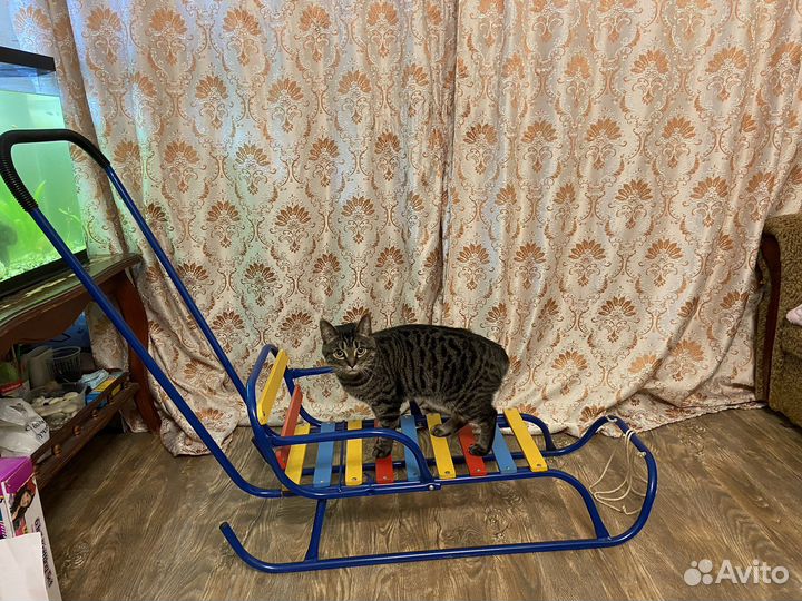 Детские зимние санки