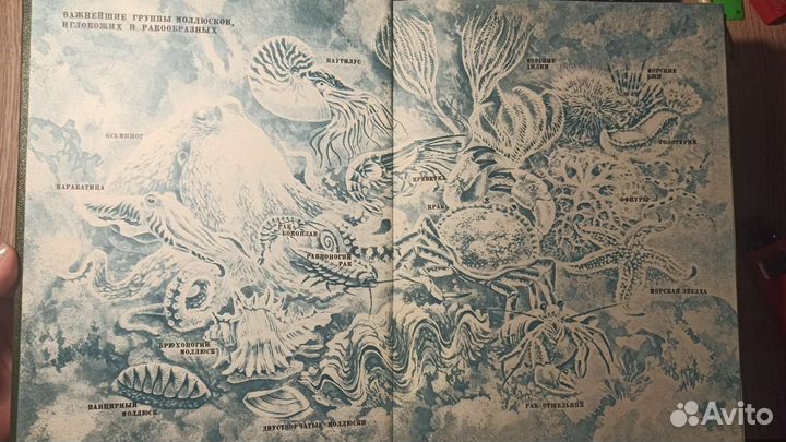 Энциклопедии Жизнь животных 2 тома