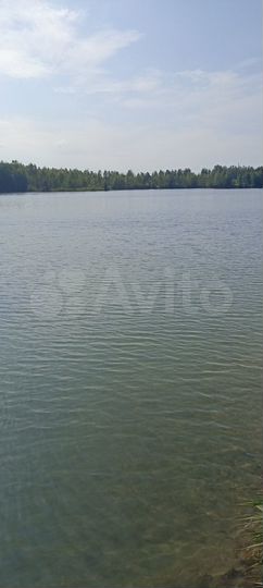 Дом 60 м² на участке 8 сот.