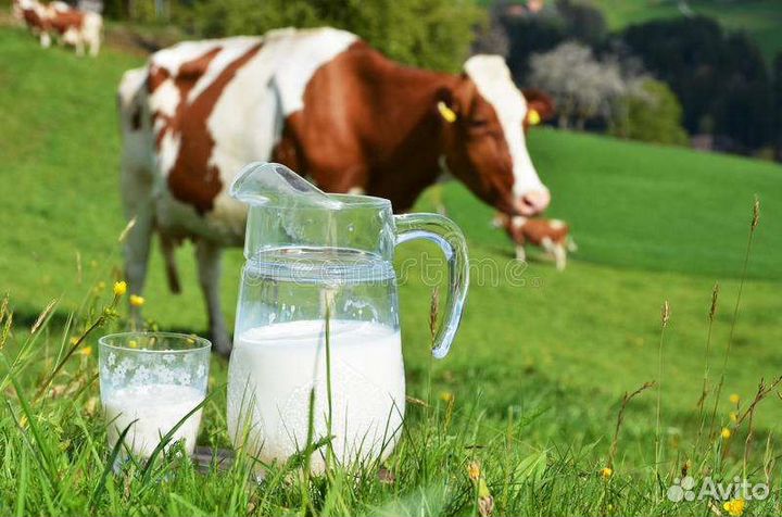 Молочная продукция