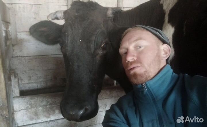 Масло сливочное домашнее