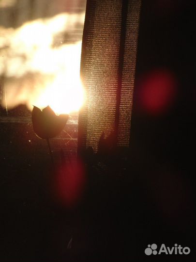 Компактный фотоаппарат Sony Cyber-shot DSC-H300