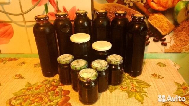 Сироп бузины черной - для молодости и долголетия