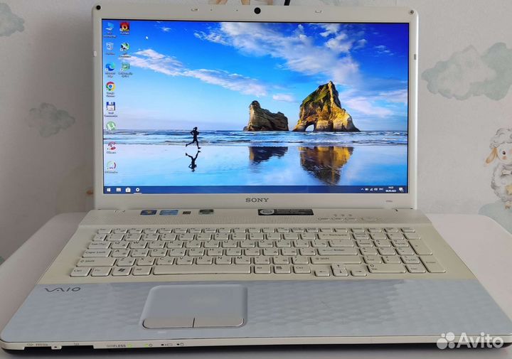 Sony Vaio 17,3