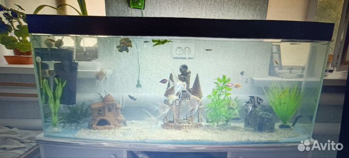 Аквариум