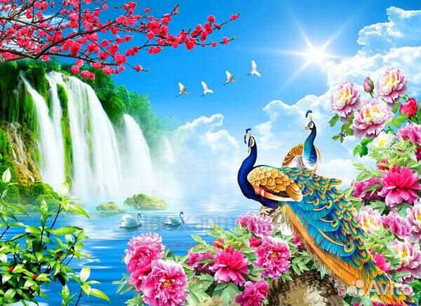 Картина по номерам 40x50 Два больших павлина