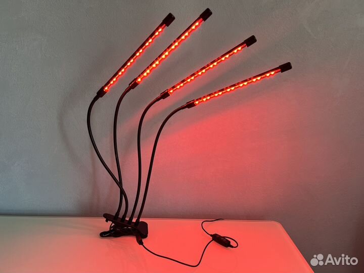 Фитолампа для растений