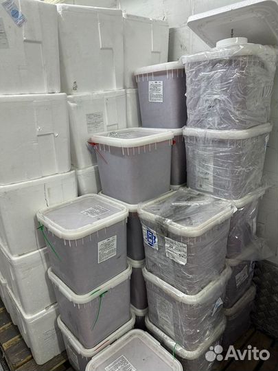 Икра кижуча оптом