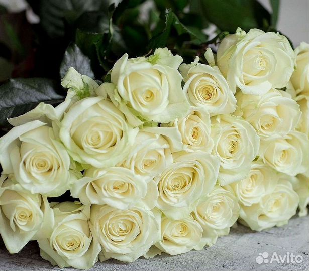 Розы Эквадор Метровые 100 см доставка Москва