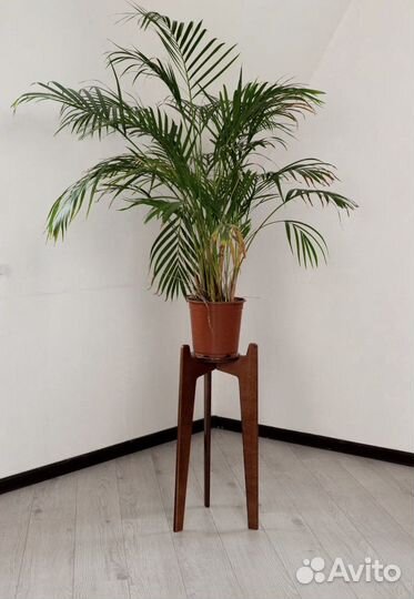 Подставка для цветы Wiki