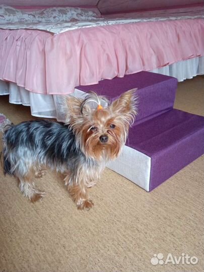 Лесенка для животных