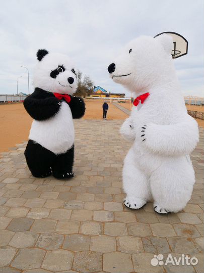 Белый мишка, Панда Чебурашка Лисичка поздравление