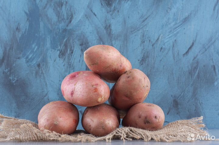 Продам картофель оптом