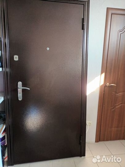 Дверь входная torex