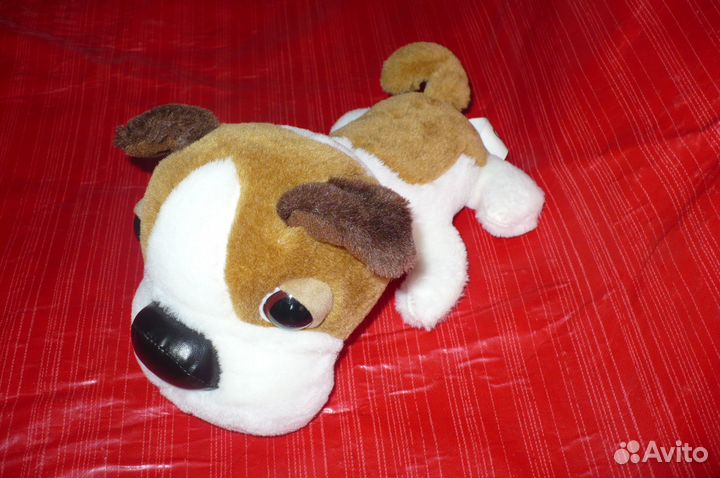 Щенки the DOG 3+