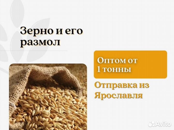 Пшеница Размол (кг)