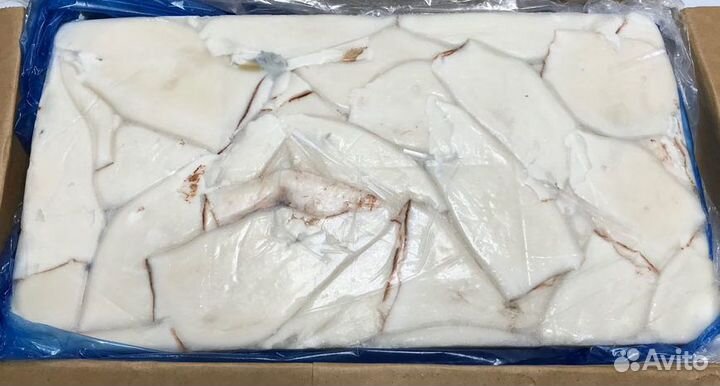 Кальмар командорский