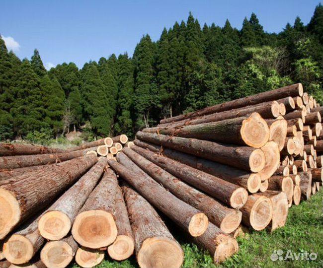 Бревна для строительства Естественная влажность, р