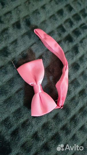 Боди для животных