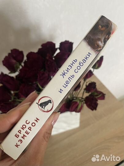 Книга про собак