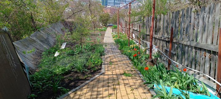 Дом 50,4 м² на участке 4,7 сот.