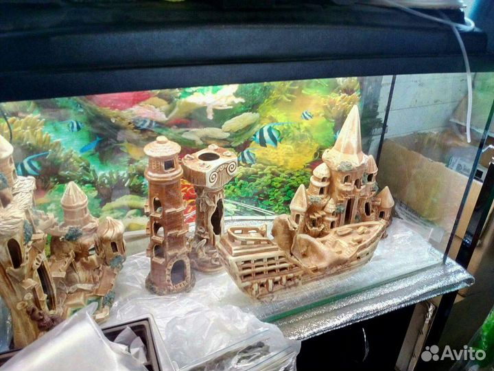 Аквариумы и всё необходимое