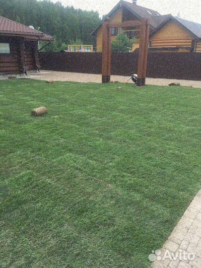 Укладка рулонного газона эконом