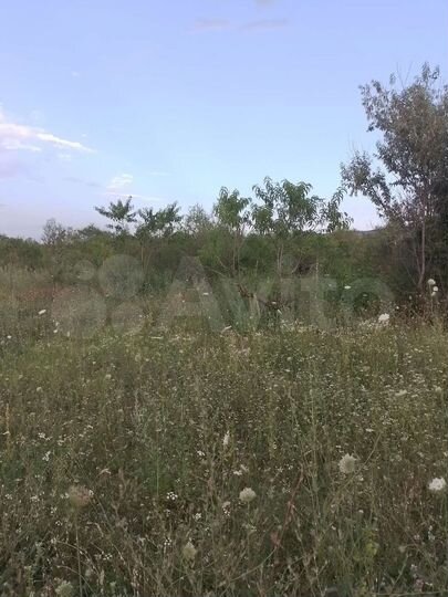 Участок 1,2 га (СНТ, ДНП)