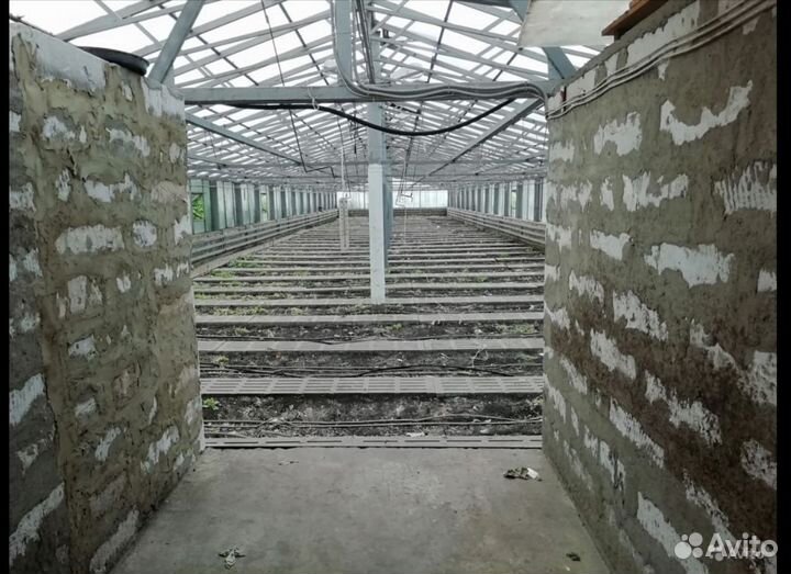 Теплица 800 м2