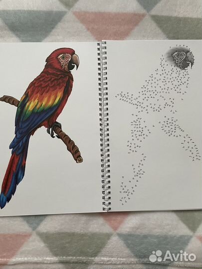 Новая Раскраска по точкам