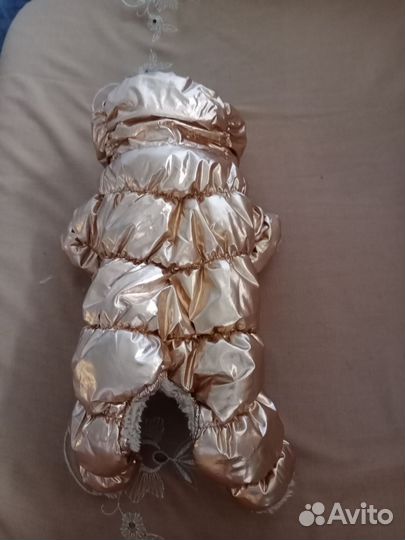 Одежда для маленьких собак s