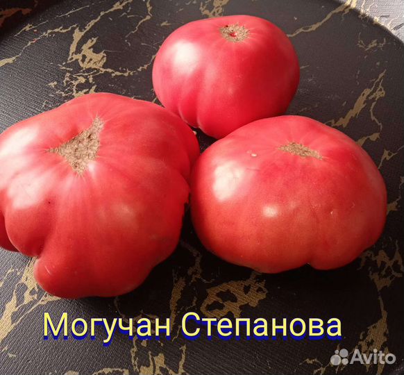 Томаты коллекционные, семена