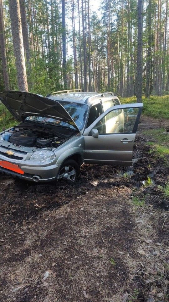 Chevrolet Niva: фото владельца