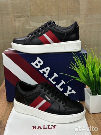 Кеды bally