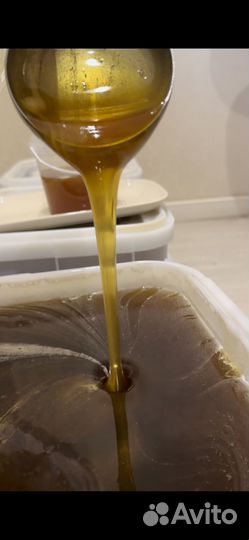 Мед Алтайский *Горное разнотравье*